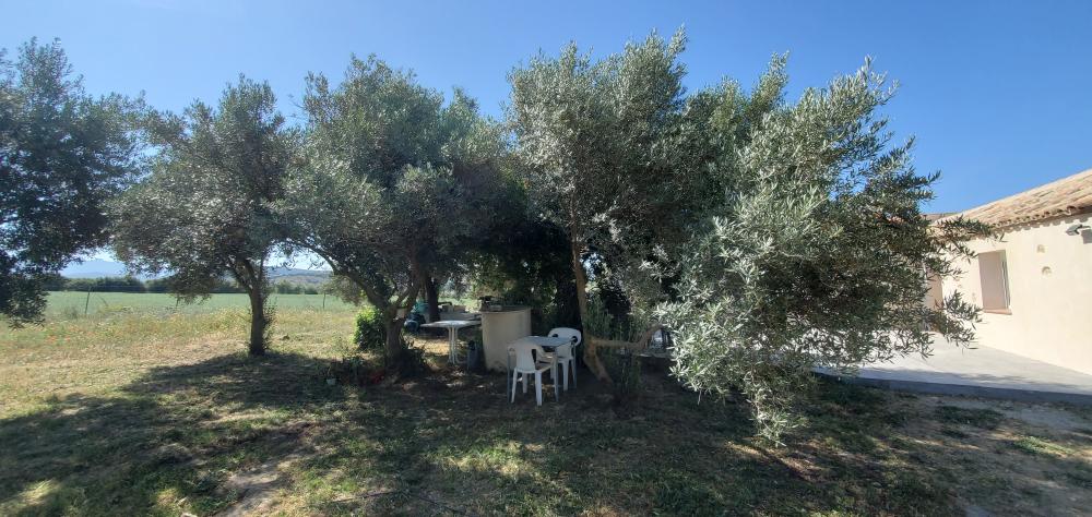  te koop boerderij Arcos De La Frontera Sierra De Cádiz 13