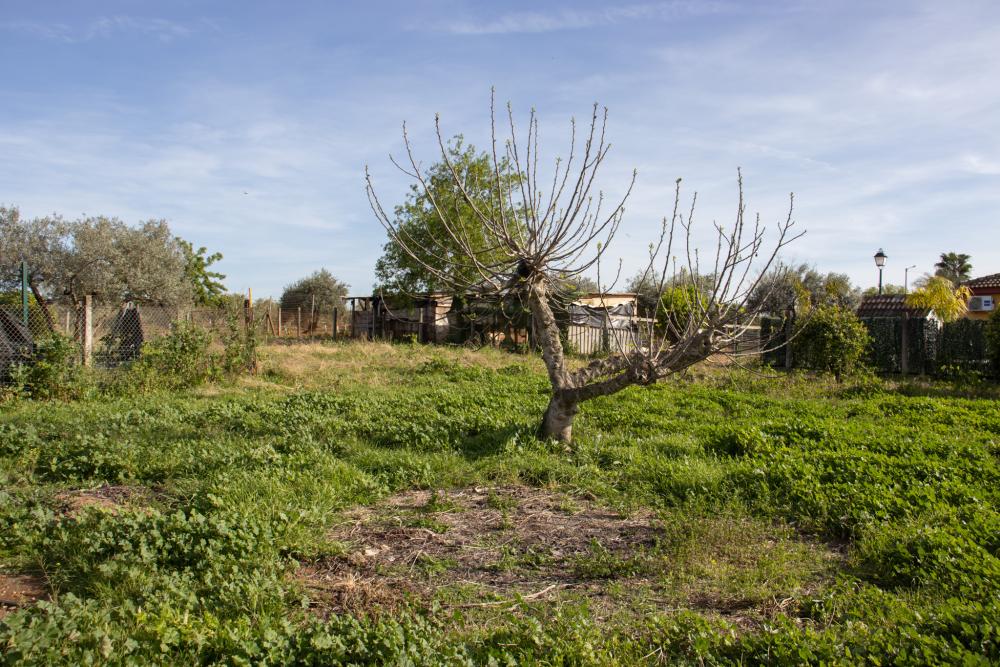  te koop villa Alcalá De Guadaira Metropolitana De Sevilla 28