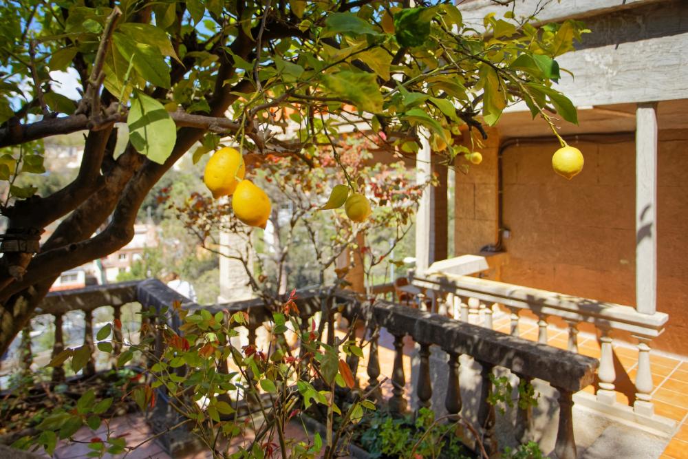  te koop huis Sarrià-Sant Gervasi-Vallvidrera-Tibidabo-Les Planes Barcelonès 28