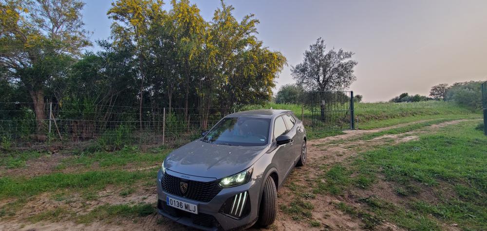  te koop boerderij Arcos De La Frontera Sierra De Cádiz 31