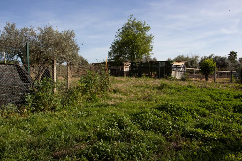  te koop villa Alcalá De Guadaira Metropolitana De Sevilla 26