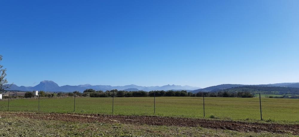  te koop boerderij Arcos De La Frontera Sierra De Cádiz 35