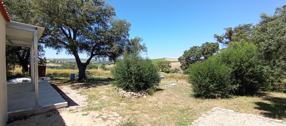  te koop boerderij Arcos De La Frontera Sierra De Cádiz 16