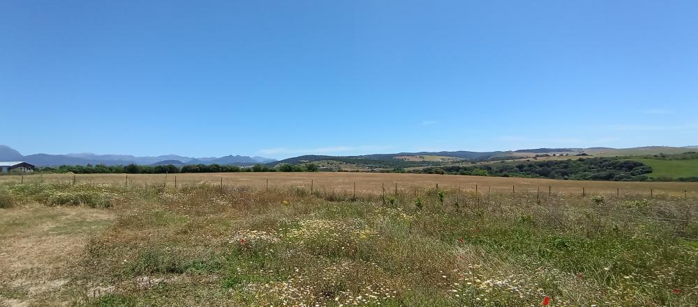  te koop boerderij Arcos De La Frontera Sierra De Cádiz 49