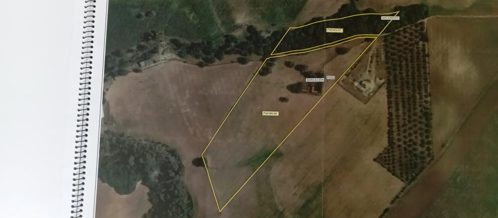  te koop boerderij Arcos De La Frontera Sierra De Cádiz 52
