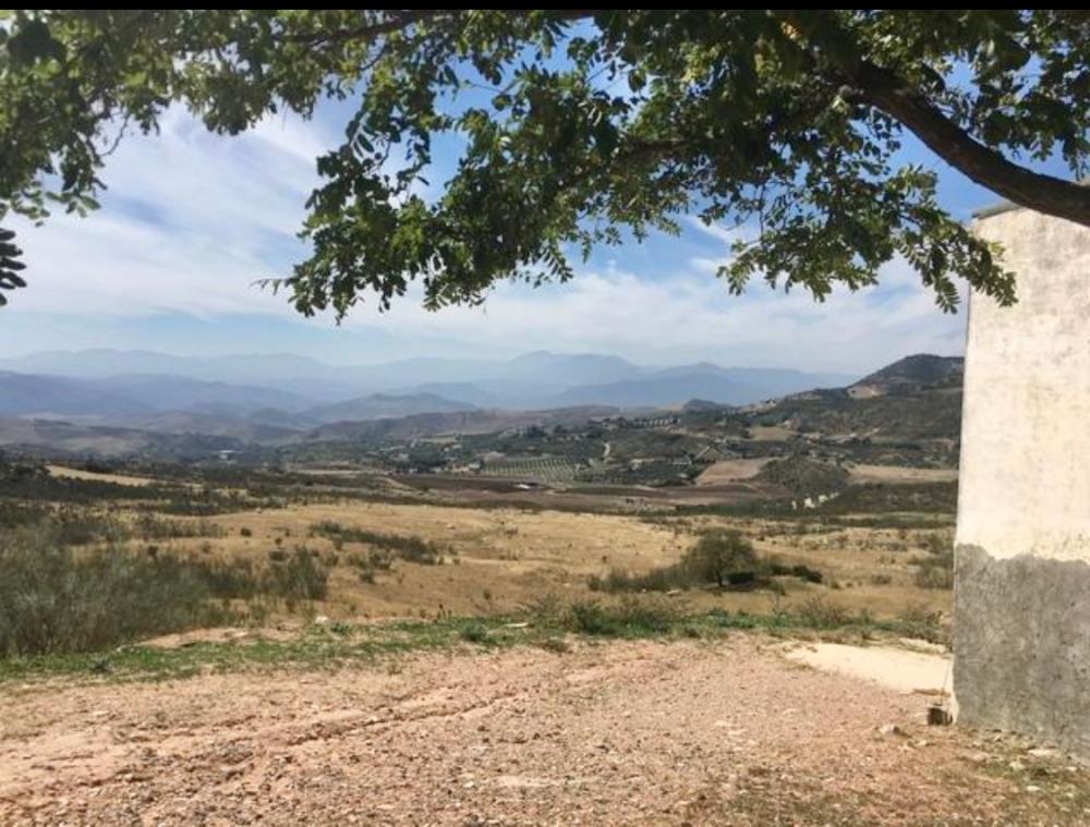  te koop boerderij Villanueva De La Concepción Antequera 5