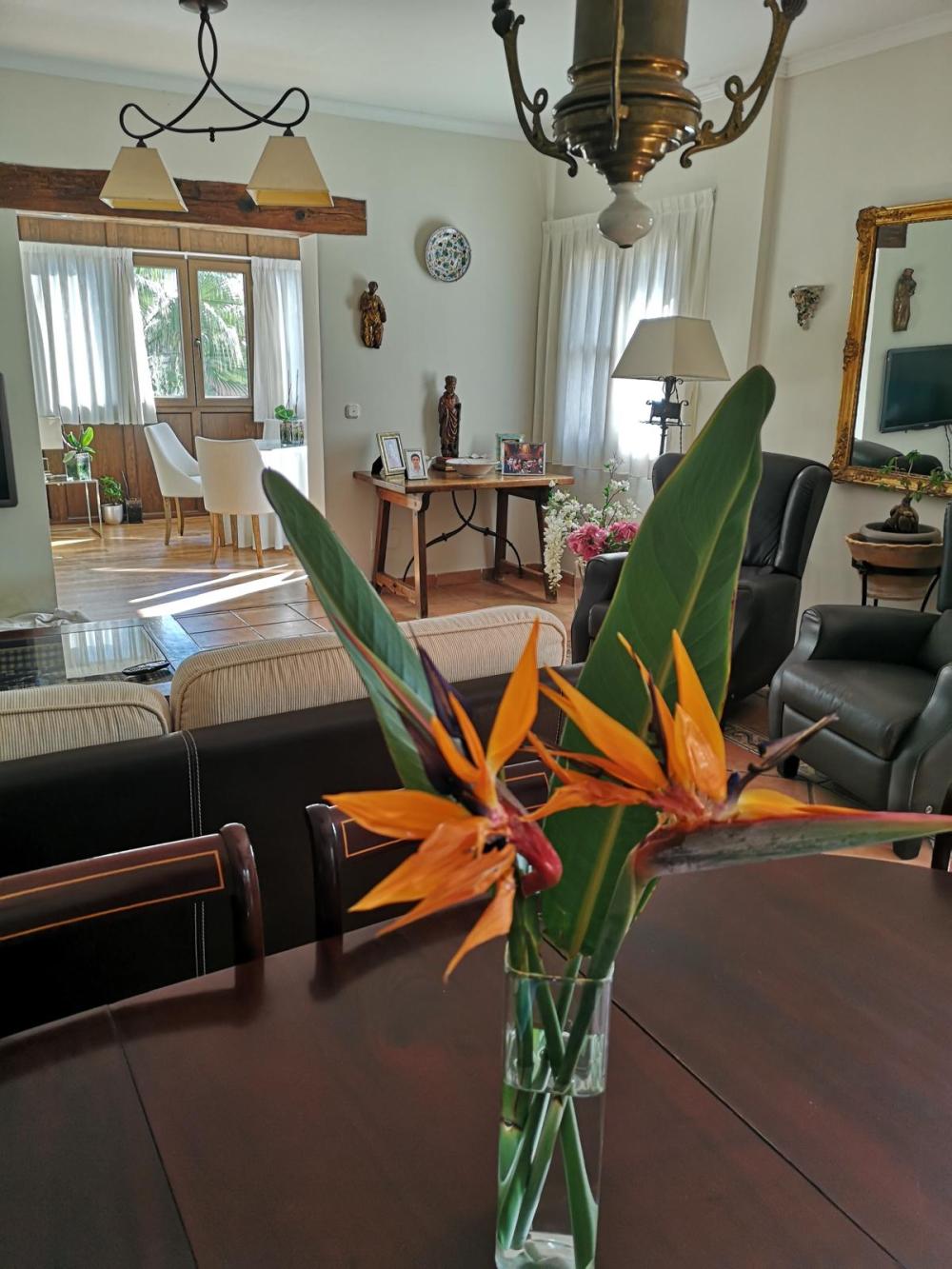  te koop villa La Envia Poniente Almeriense 9