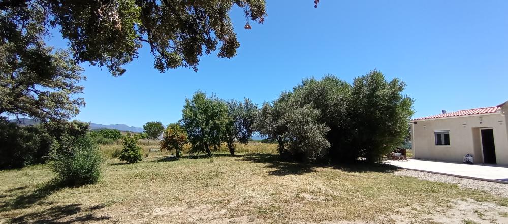  te koop boerderij Arcos De La Frontera Sierra De Cádiz 5