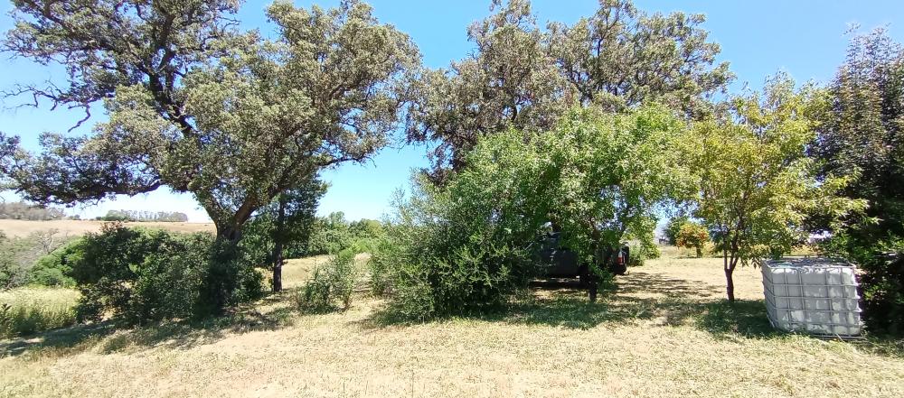  te koop boerderij Arcos De La Frontera Sierra De Cádiz 50