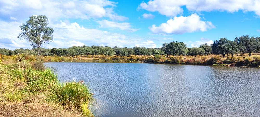  te koop boerderij Santa Olalla Del Cala Sierra De Huelva 2