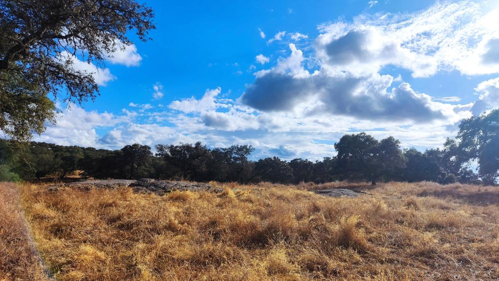  te koop boerderij Santa Olalla Del Cala Sierra De Huelva 12