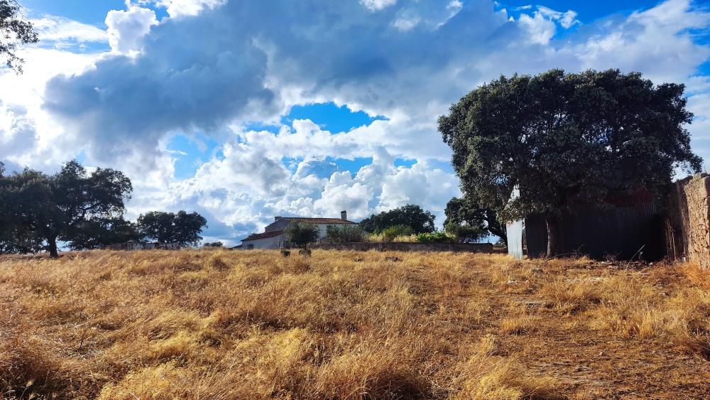  te koop boerderij Santa Olalla Del Cala Sierra De Huelva 5