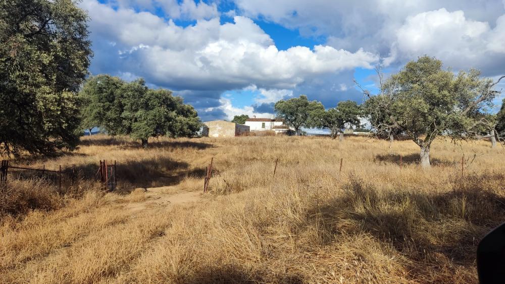  te koop boerderij Santa Olalla Del Cala Sierra De Huelva 8