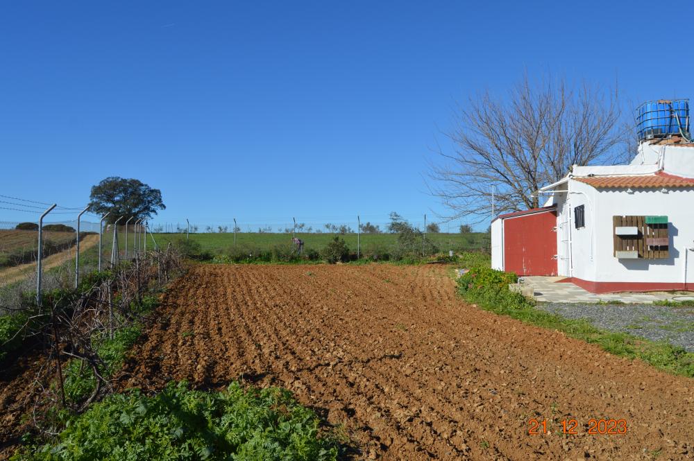  te koop boerderij Rociana Del Condado Condado (El) 2