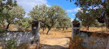 Santa Olalla Del Cala Sierra De Huelva boerderij foto 5944163