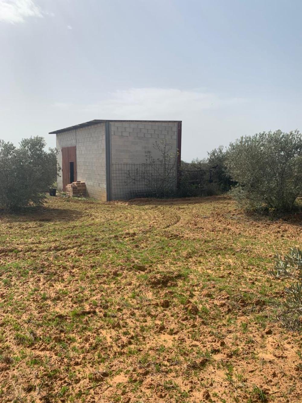  te koop boerderij Hinojos Condado (El) 2