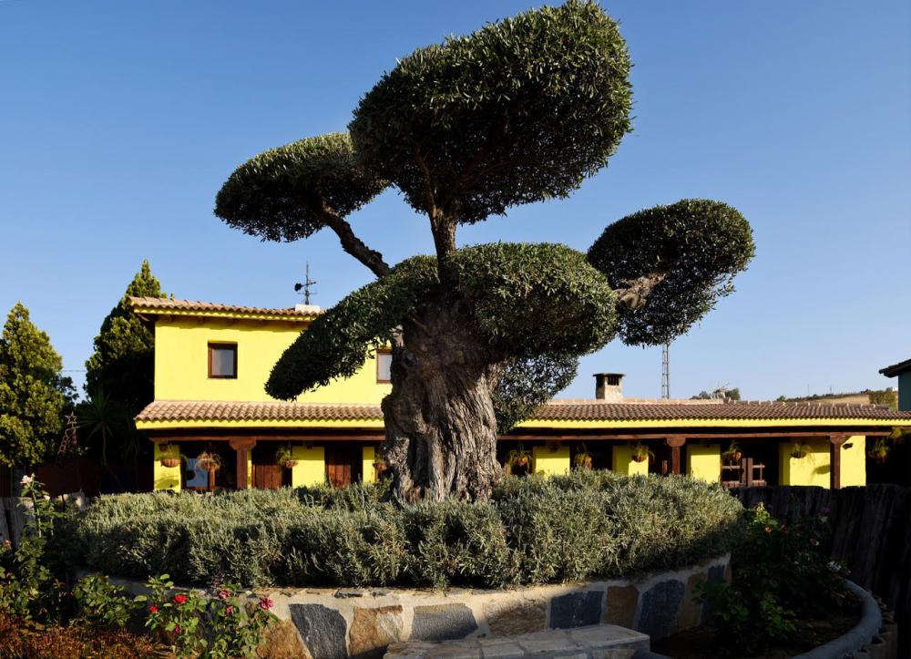  te koop boerderij Coín Valle Del Guadalhorce 14