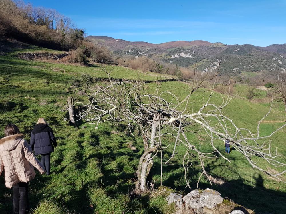  te koop boerderij Proaza Oviedo 4