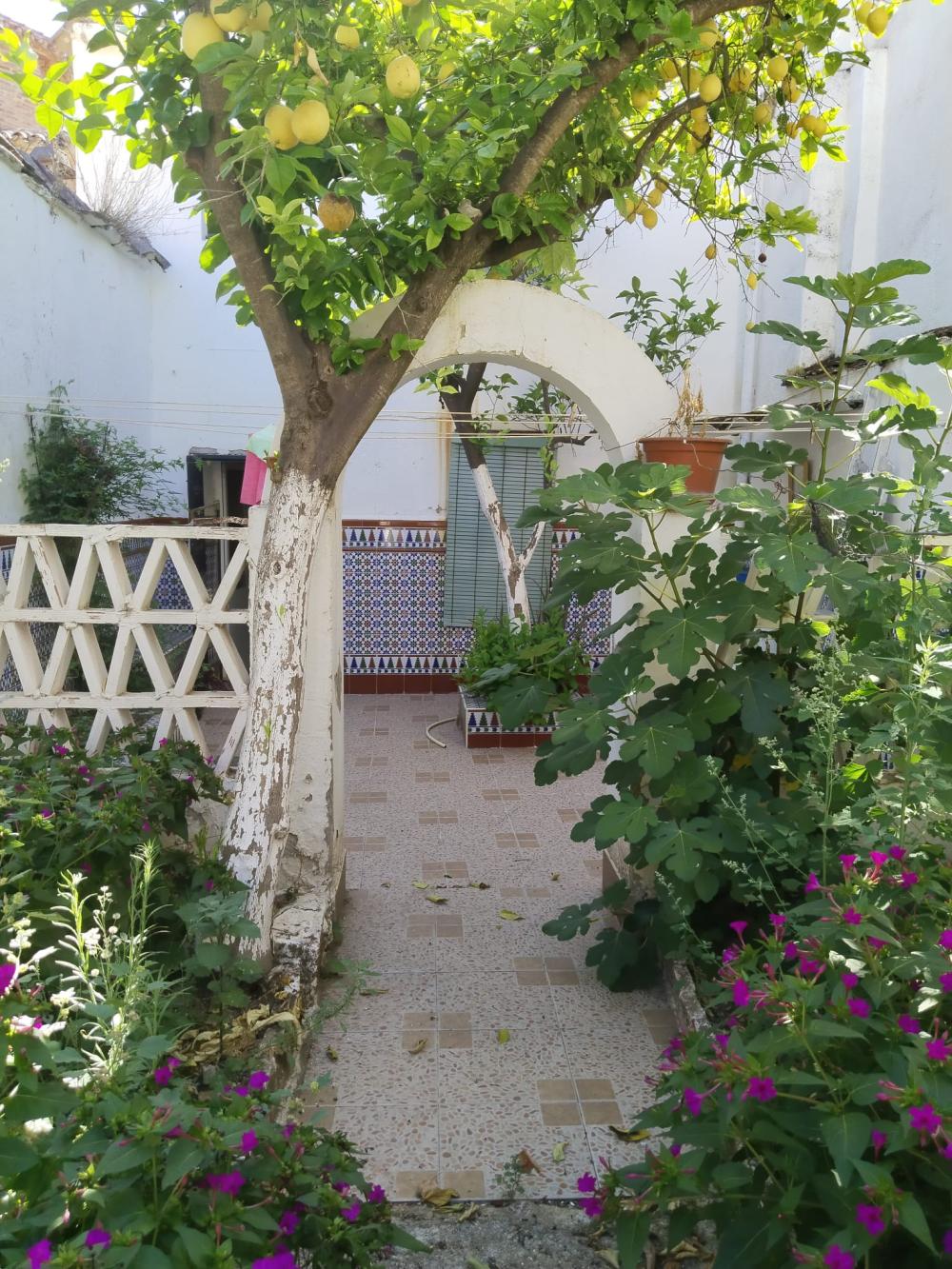  te koop huis Guadalcanal Sierra Norte 51