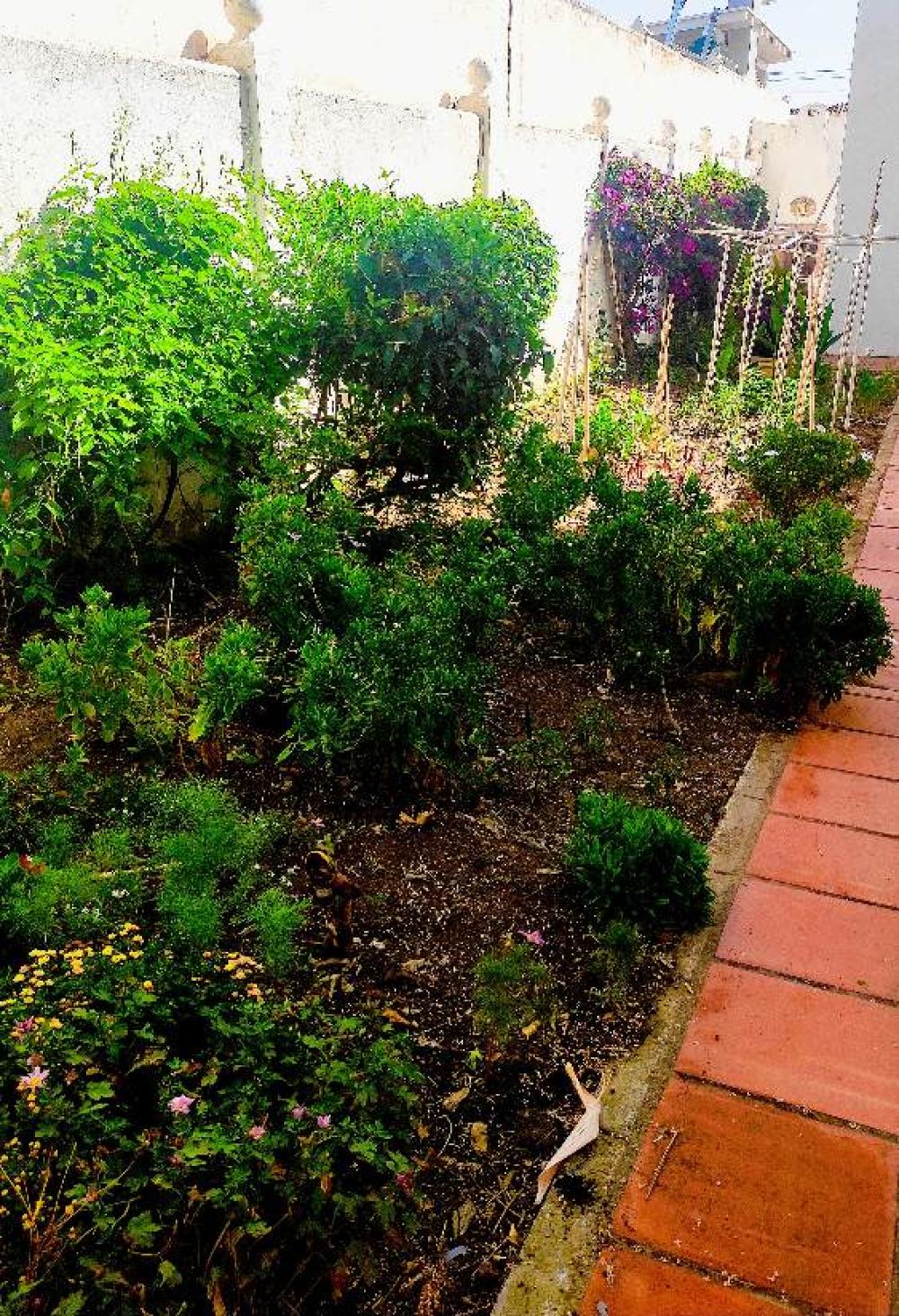  te koop villa Estepona Costa Del Sol Occidental 12