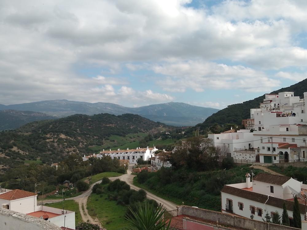  te koop huis Alcalá De Los Gazules Janda (La) 17
