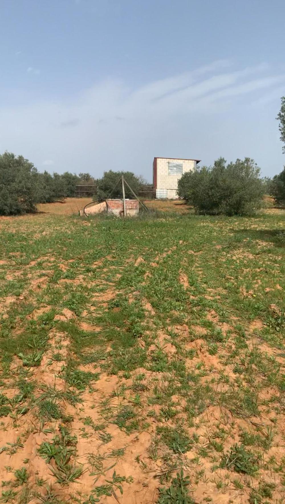  te koop boerderij Hinojos Condado (El) 1
