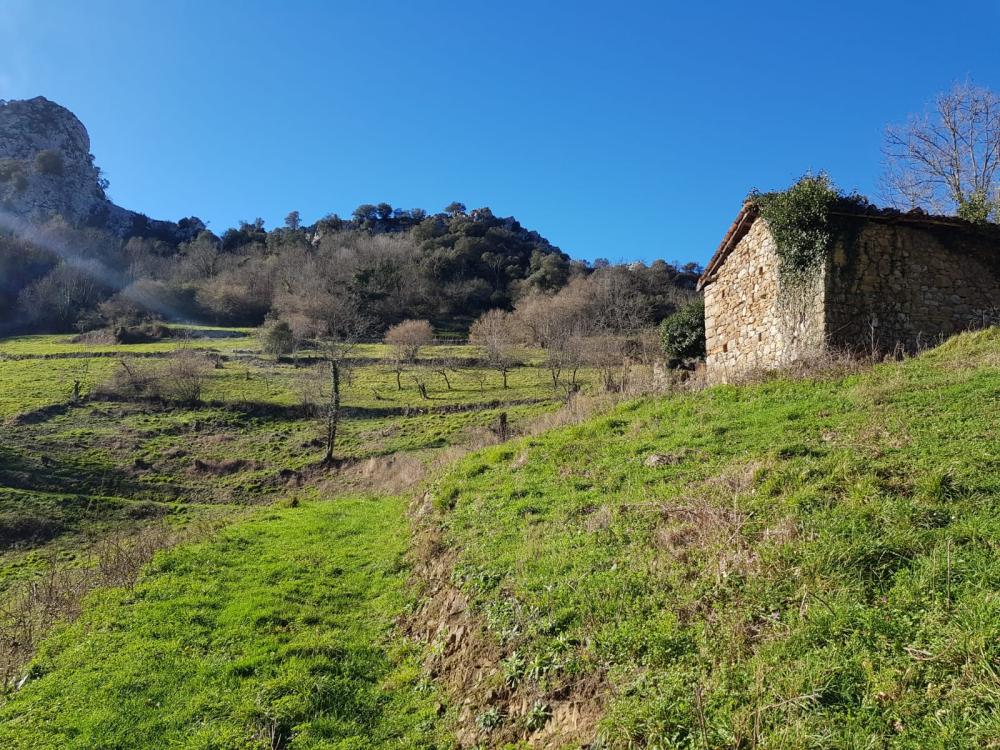  te koop boerderij Proaza Oviedo 3