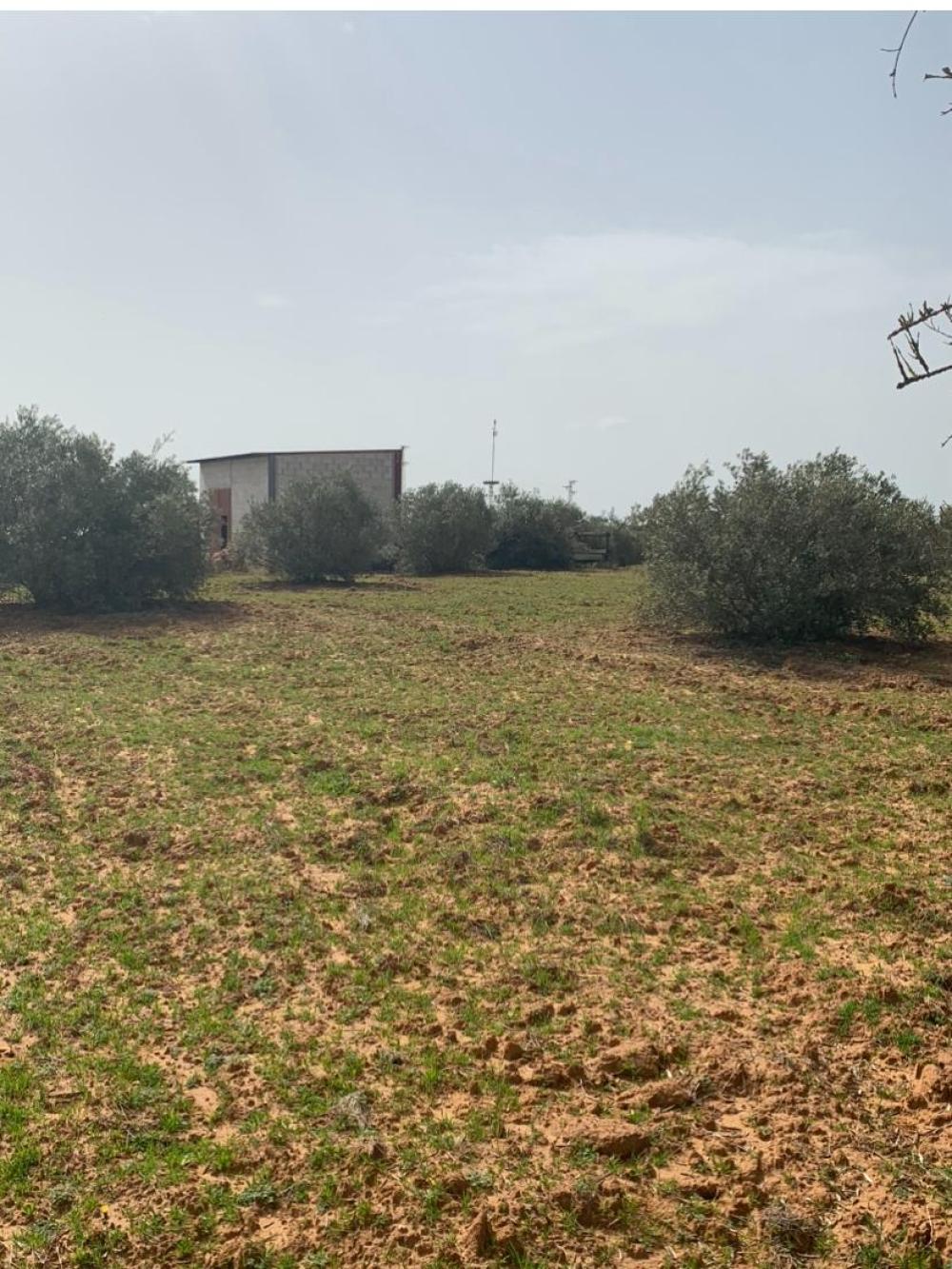  te koop boerderij Hinojos Condado (El) 4