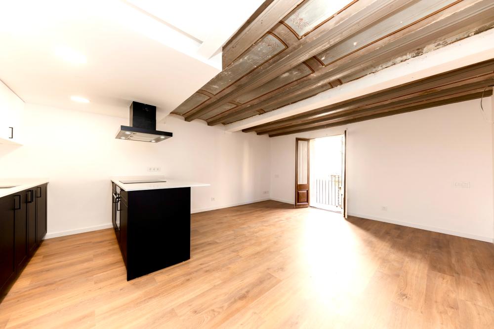 te koop appartement Ciutat Vella-Sant Pere-Santa Caterina-El Born Barcelonès 3