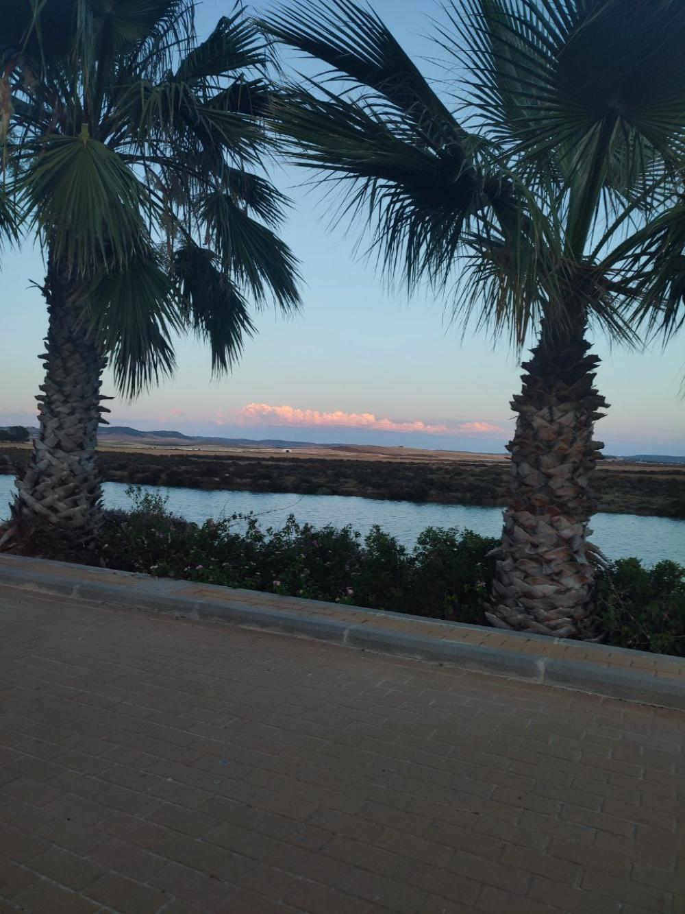  te koop huis Conil De La Frontera Janda (La) 20