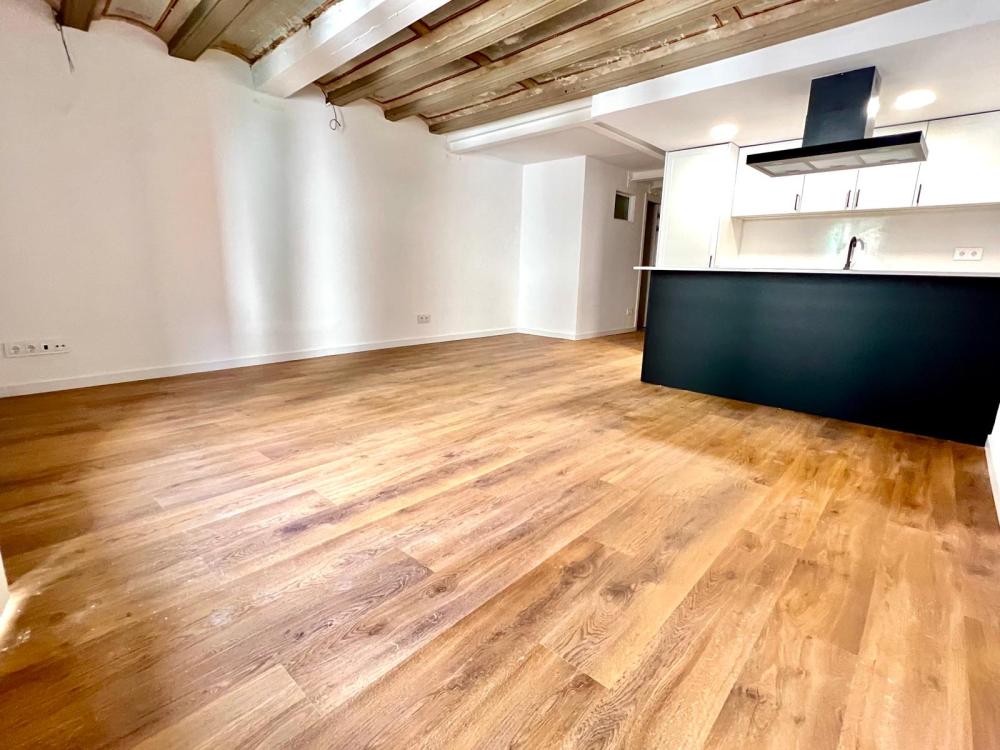  te koop appartement Ciutat Vella-Sant Pere-Santa Caterina-El Born Barcelonès 1