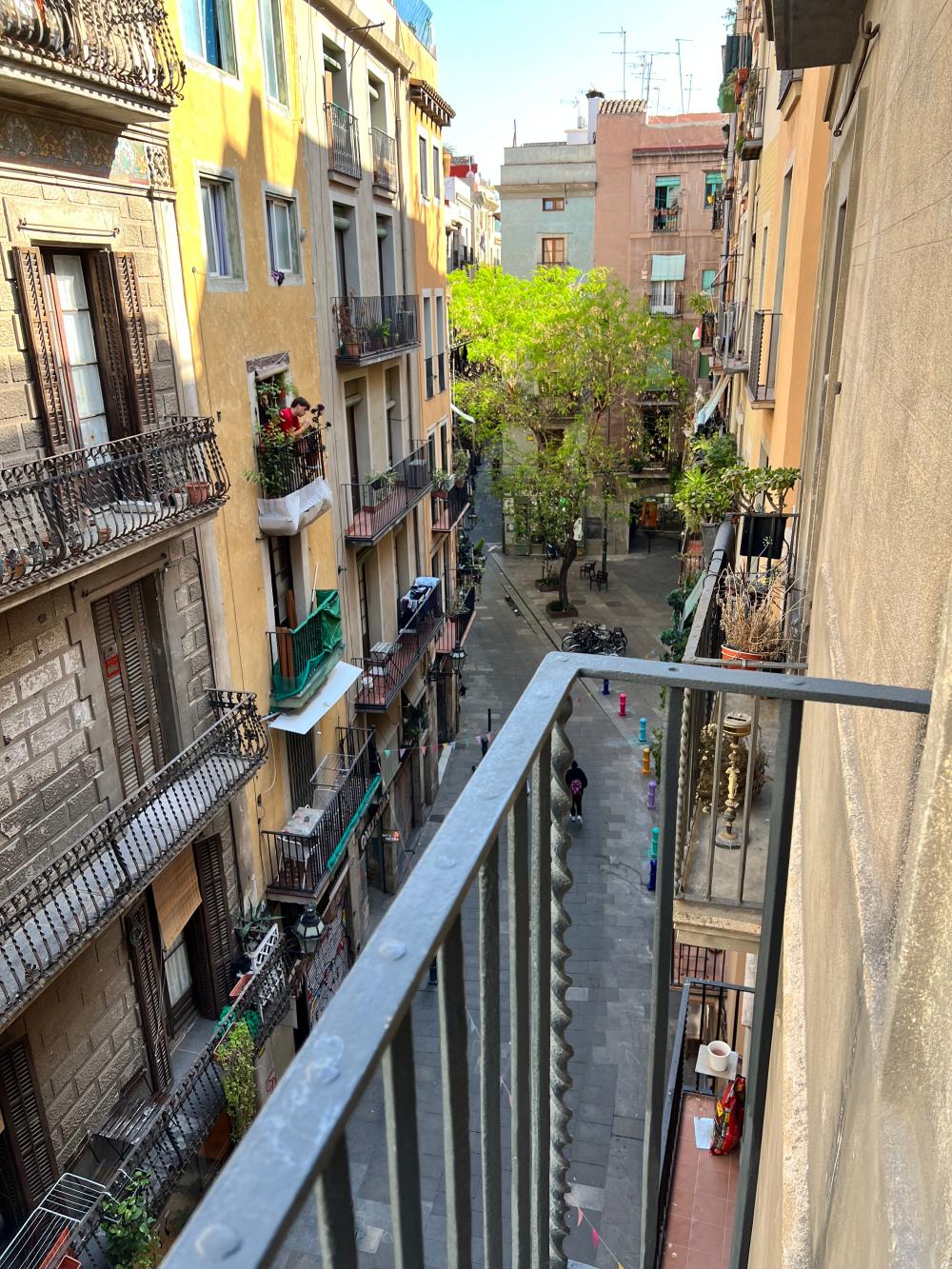  te koop appartement Ciutat Vella-Sant Pere-Santa Caterina-El Born Barcelonès 5
