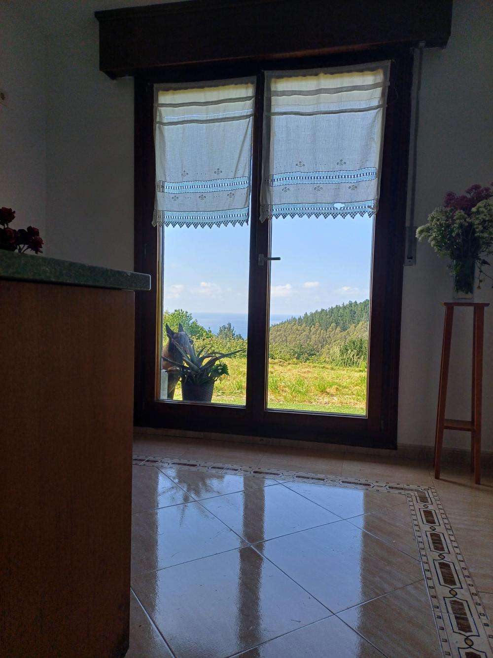  te koop villa Asterrika Lea-Artibai 12