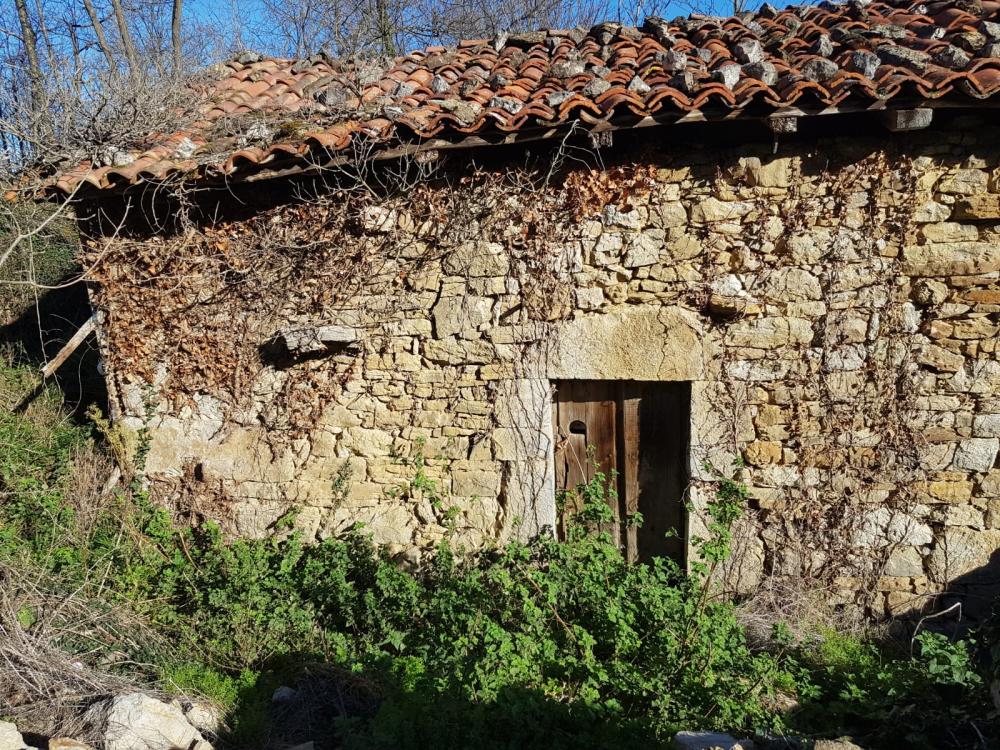  te koop boerderij Proaza Oviedo 5