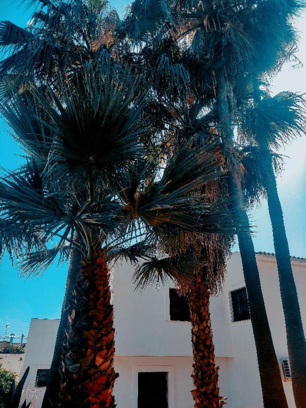  te koop villa Estepona Costa Del Sol Occidental 2