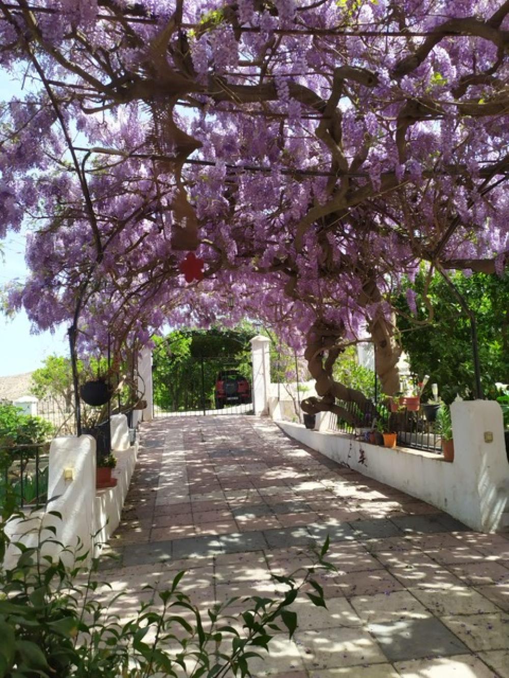  te koop huis Terque Alpujarra Almeriense 1