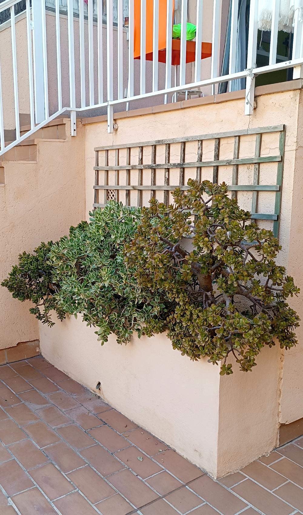  te koop duplex La Bonanova Palma 18