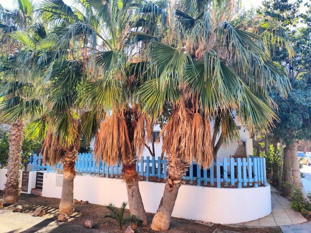  te koop twee-onder-een-kapwoning Rodalquilar Comarca Metropolitana De Almería 4