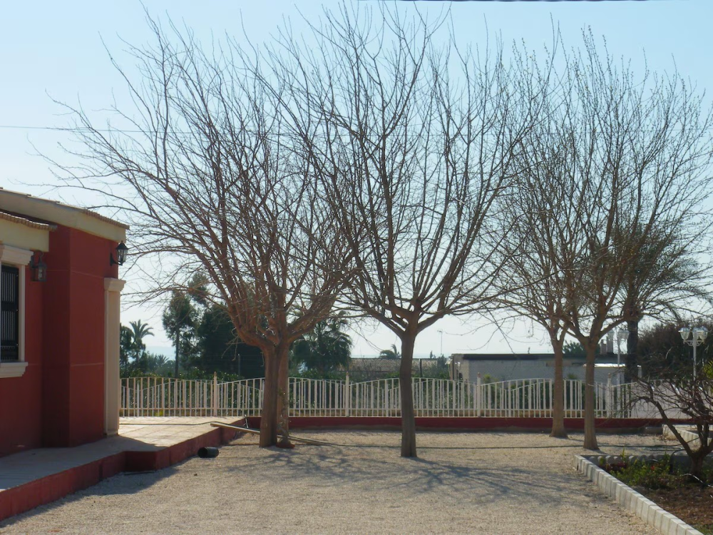  te koop villa Pla De Sant Josep Baix Vinalopó 12
