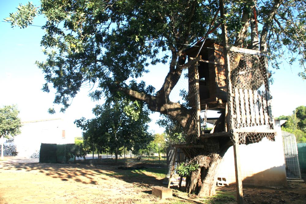 te koop villa Godelleta Hoya De Buñol 6