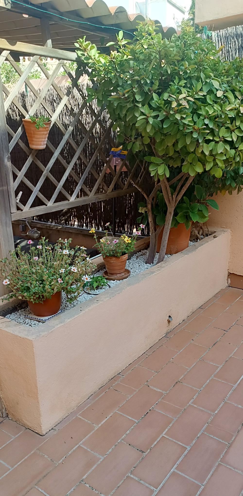  te koop duplex La Bonanova Palma 22