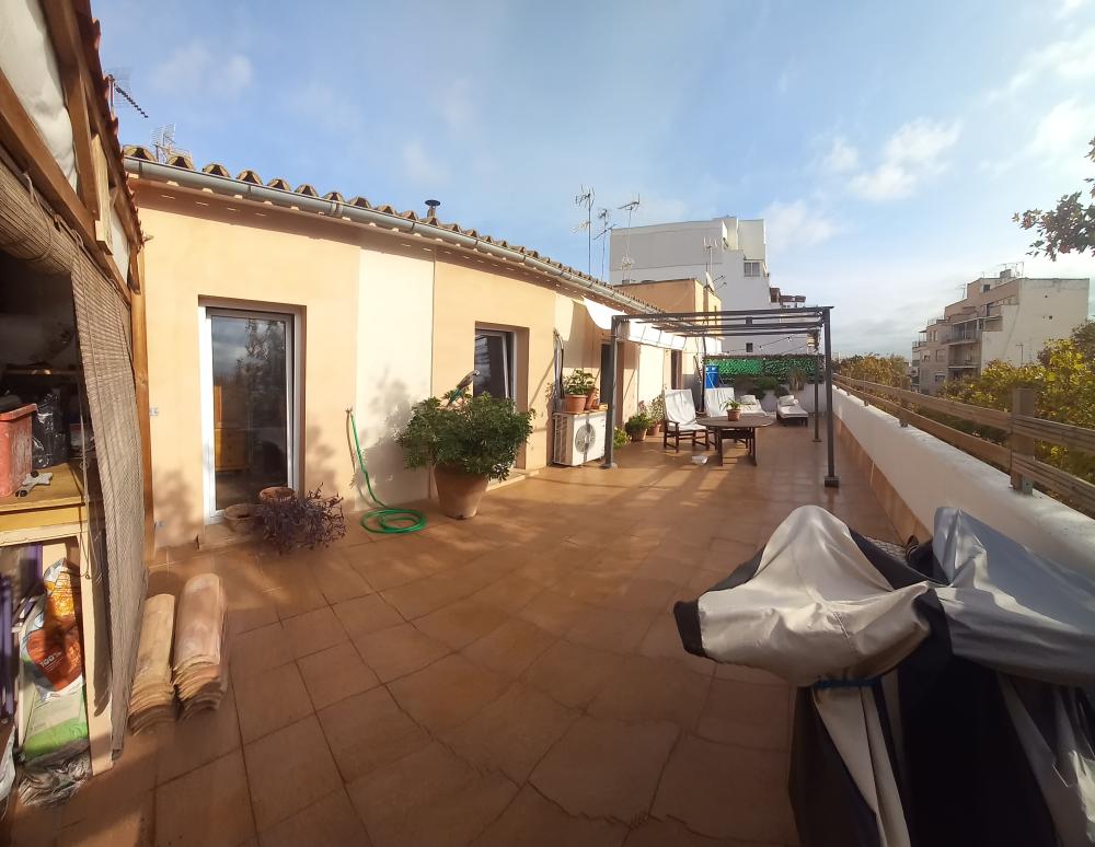  te koop penthouse Aragón-Pere Garau-Católicos Palma 10