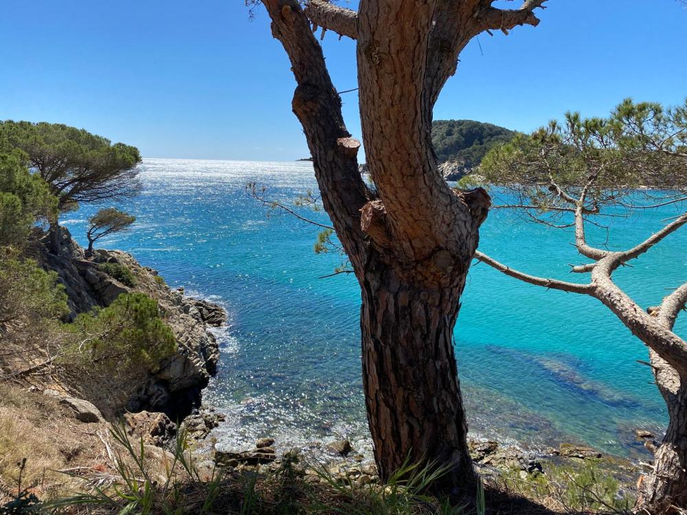  te koop appartement Cala Margarida Baix Empordà 15