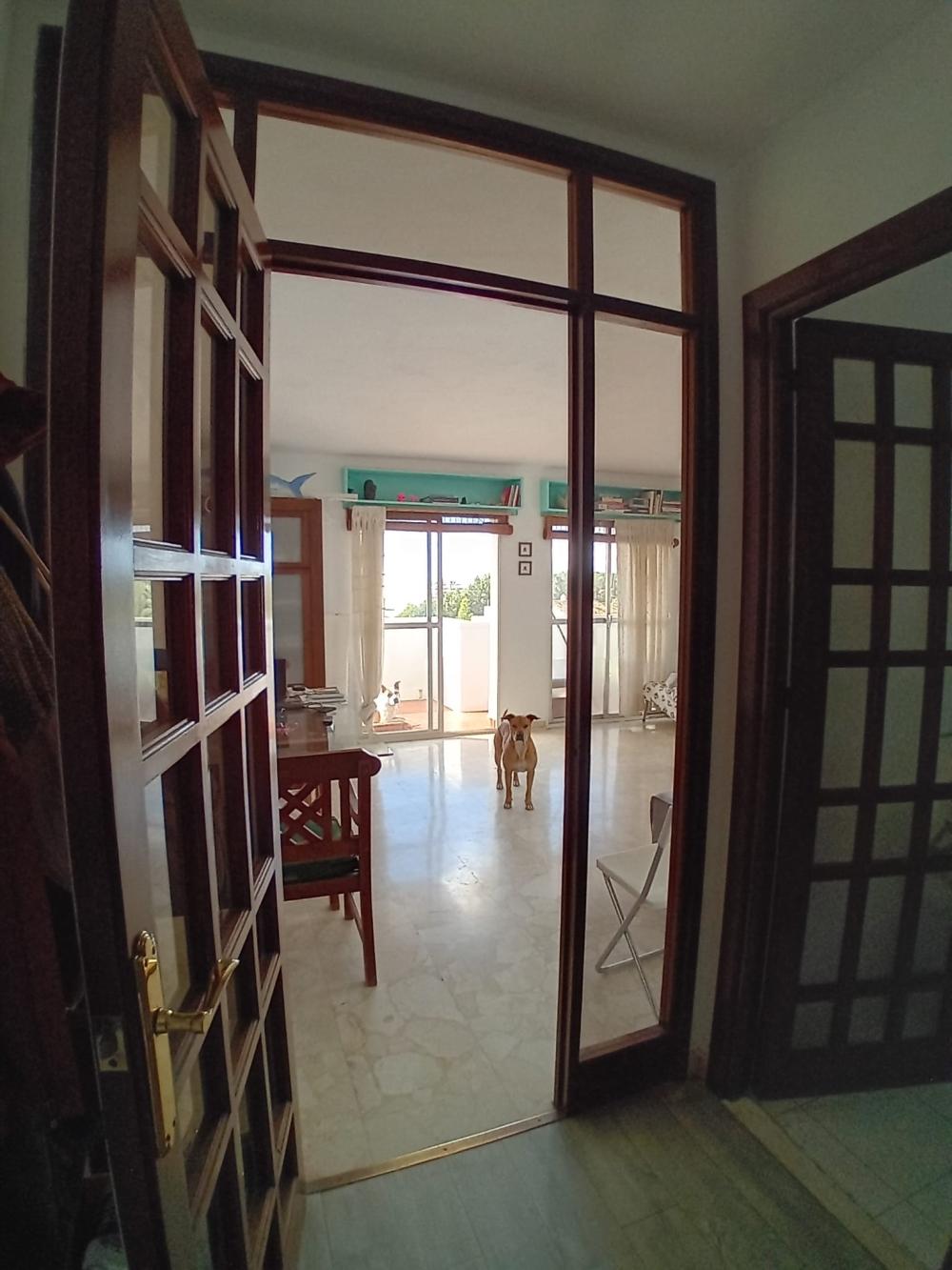  te koop appartement Marbella Costa Del Sol Occidental 9