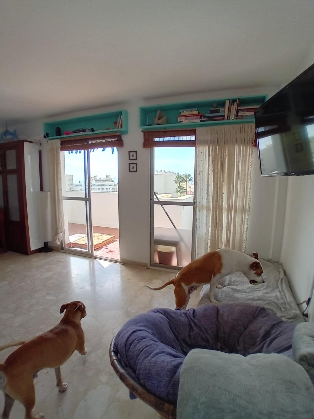  te koop appartement Marbella Costa Del Sol Occidental 8