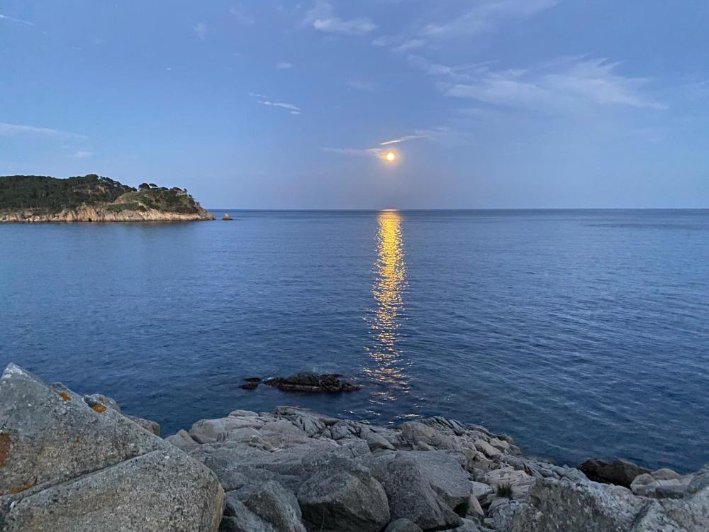  te koop appartement Cala Margarida Baix Empordà 17