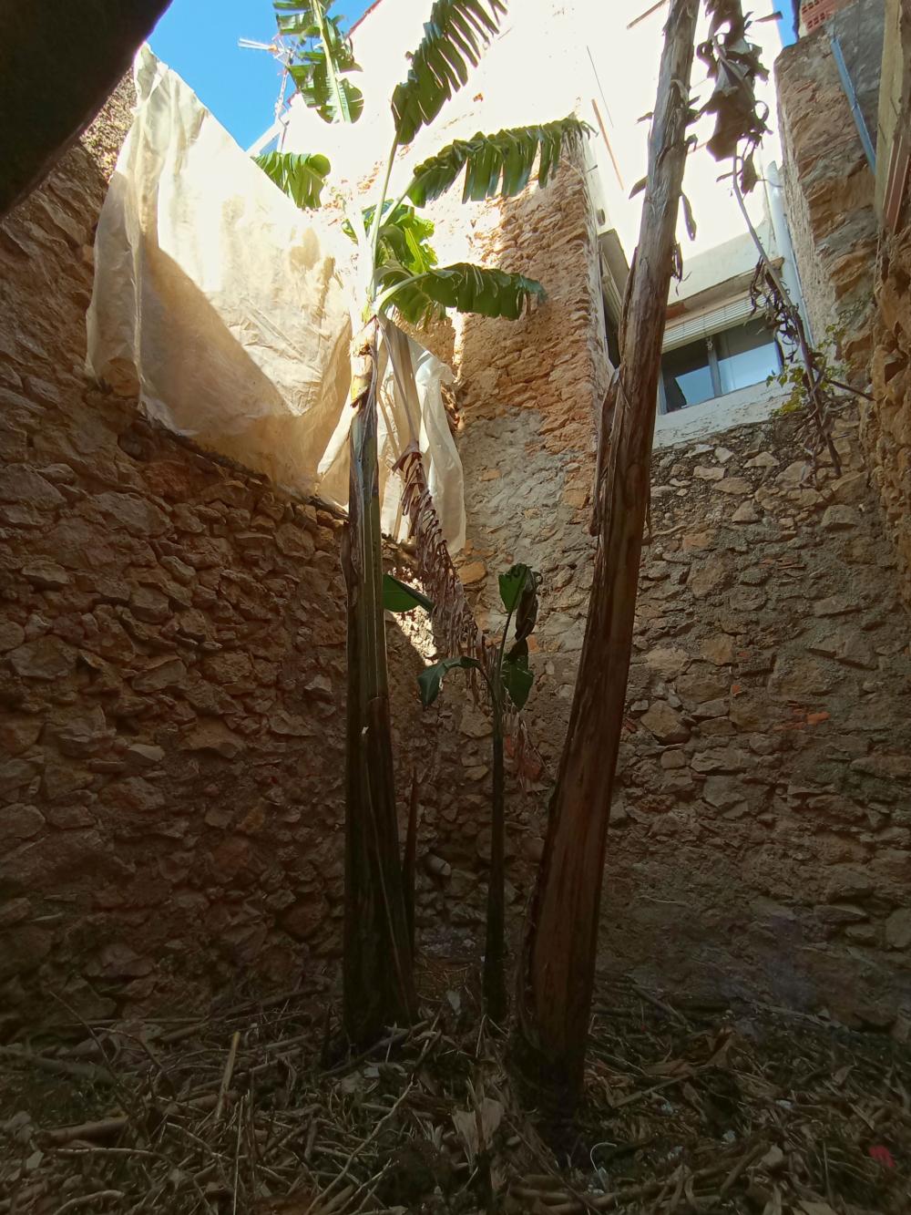  te koop huis Alcanar Montsià 7
