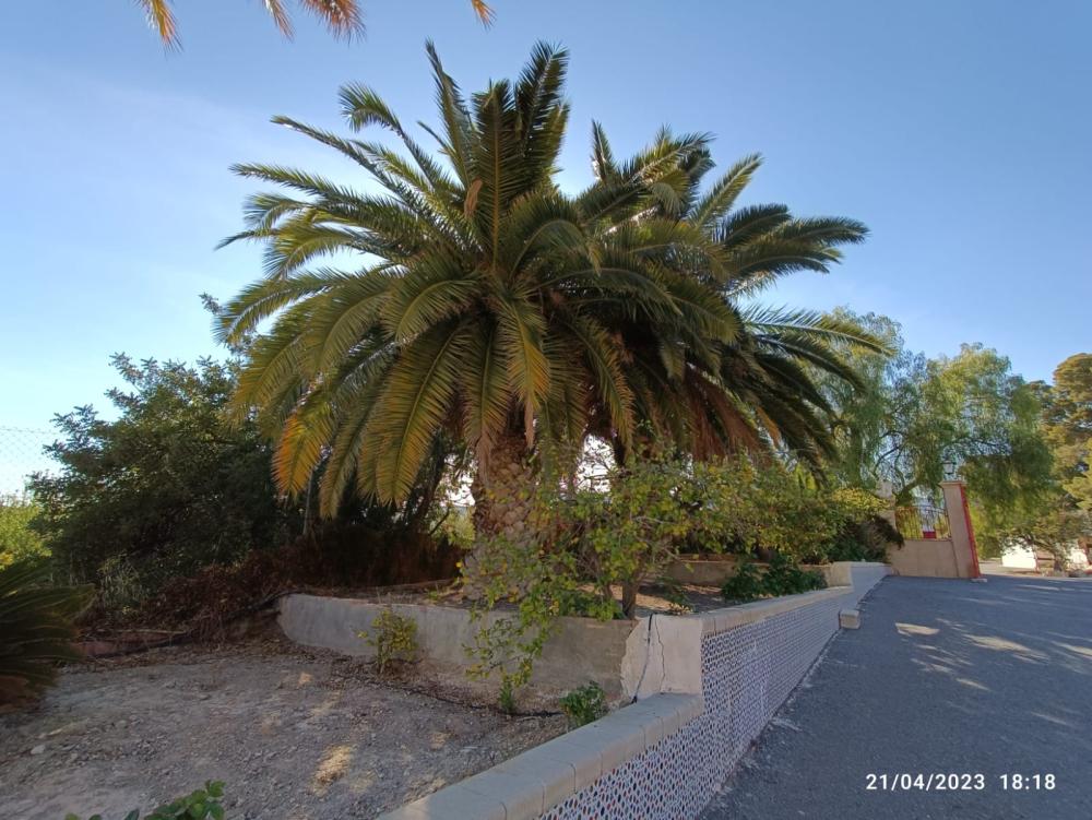 te koop villa Jijona Alacantí 38
