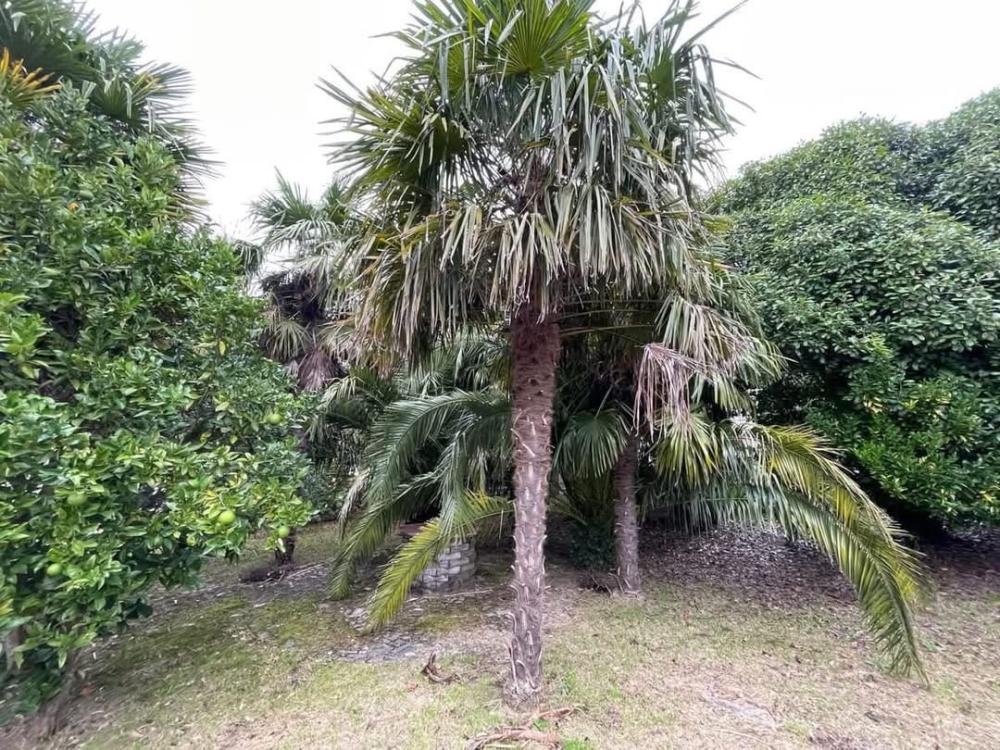 te koop huis A Lama Pontevedra 30