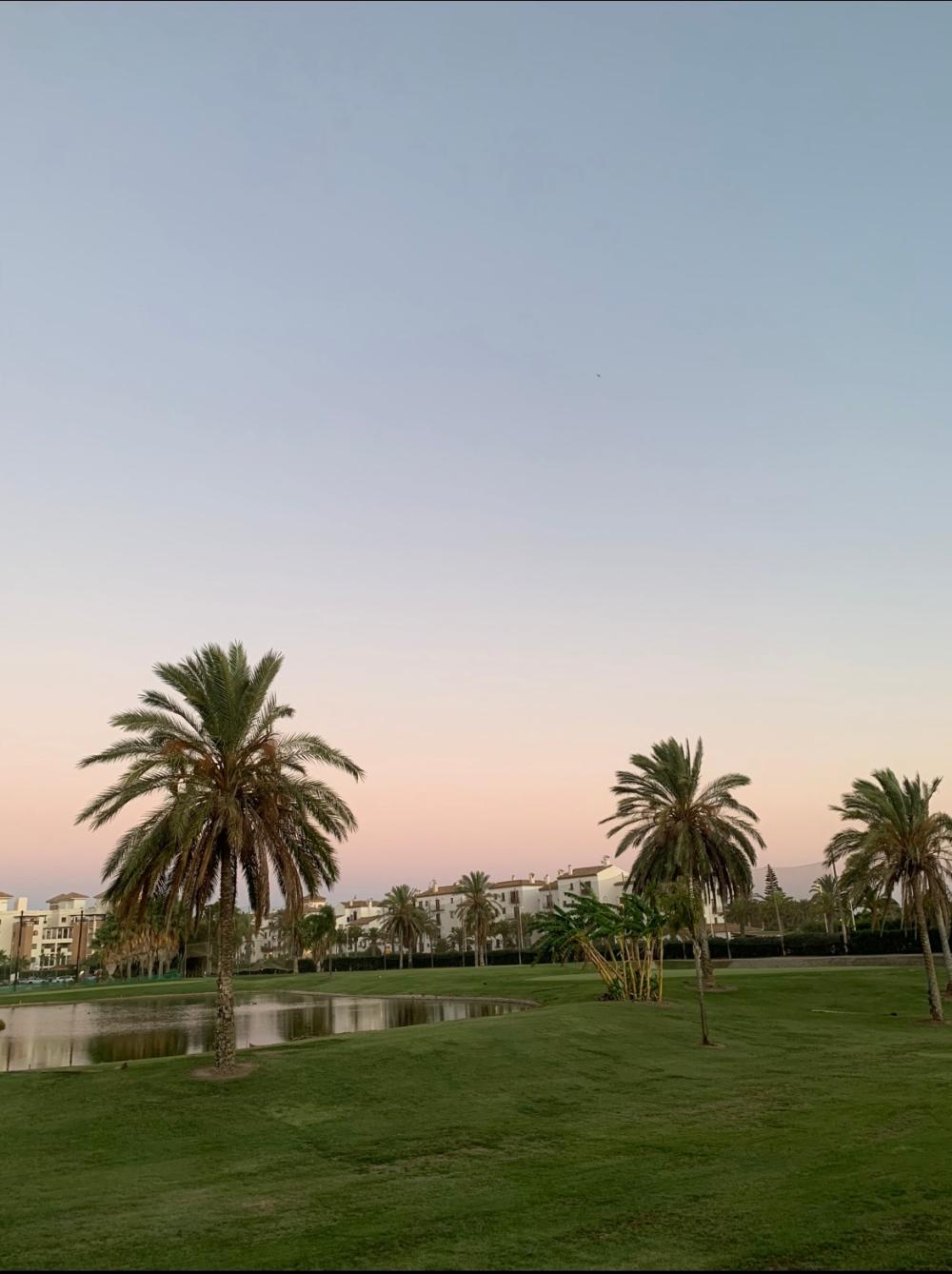  te koop appartement Playa Granada Costa Tropical 1